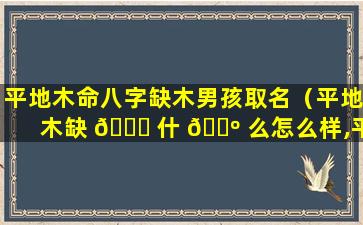 平地木命八字缺木男孩取名（平地木缺 🐅 什 🐺 么怎么样,平地木命五行缺什么）